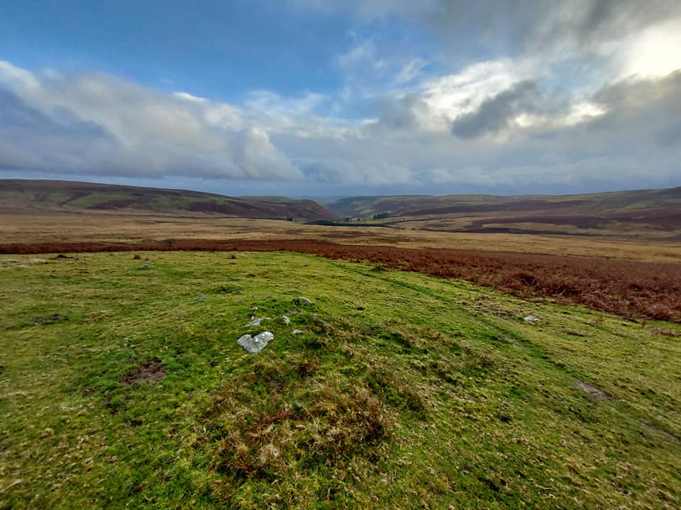 Cwm Pistyll on Llanwrthwl Common